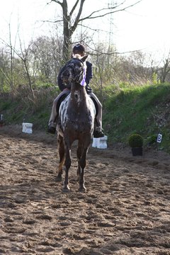 Bild 1598 - WBO-Turnier am 9.4.11